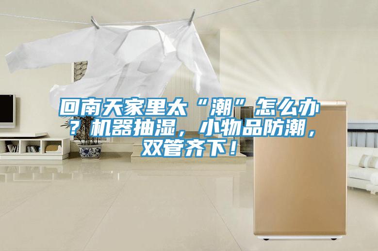 回南天家里太“潮”怎么辦？機器抽濕，小物品防潮，雙管齊下！