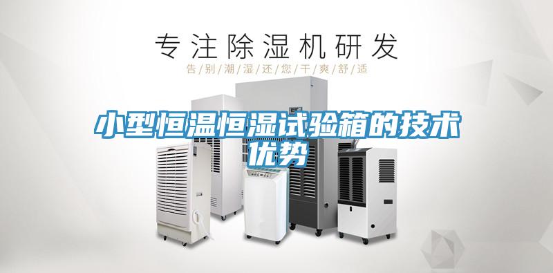 小型恒溫恒濕試驗箱的技術優(yōu)勢