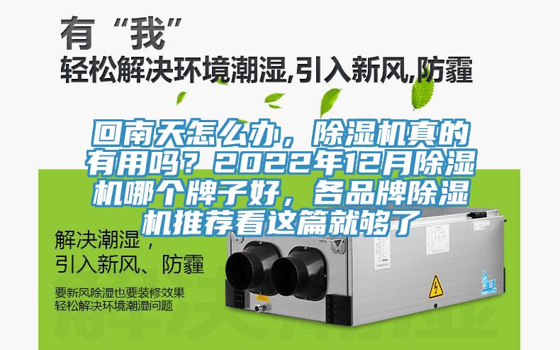 回南天怎么辦，除濕機真的有用嗎？2022年12月除濕機哪個牌子好，各品牌除濕機推薦看這篇就夠了