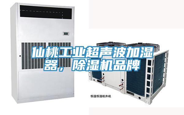 仙桃工業(yè)超聲波加濕器，除濕機品牌