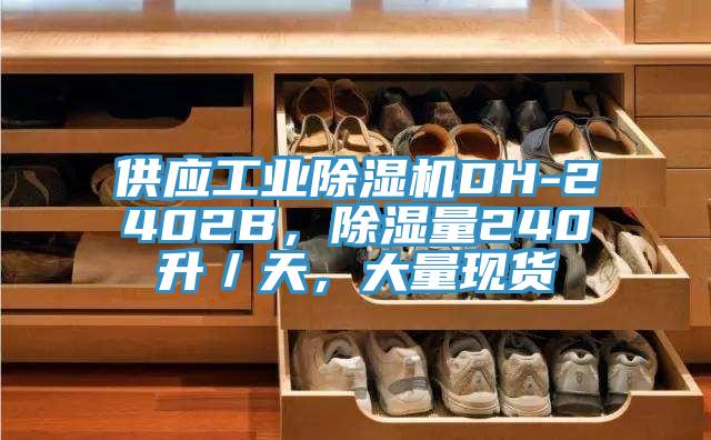 供應(yīng)工業(yè)除濕機(jī)DH-2402B，除濕量240升／天，大量現(xiàn)貨