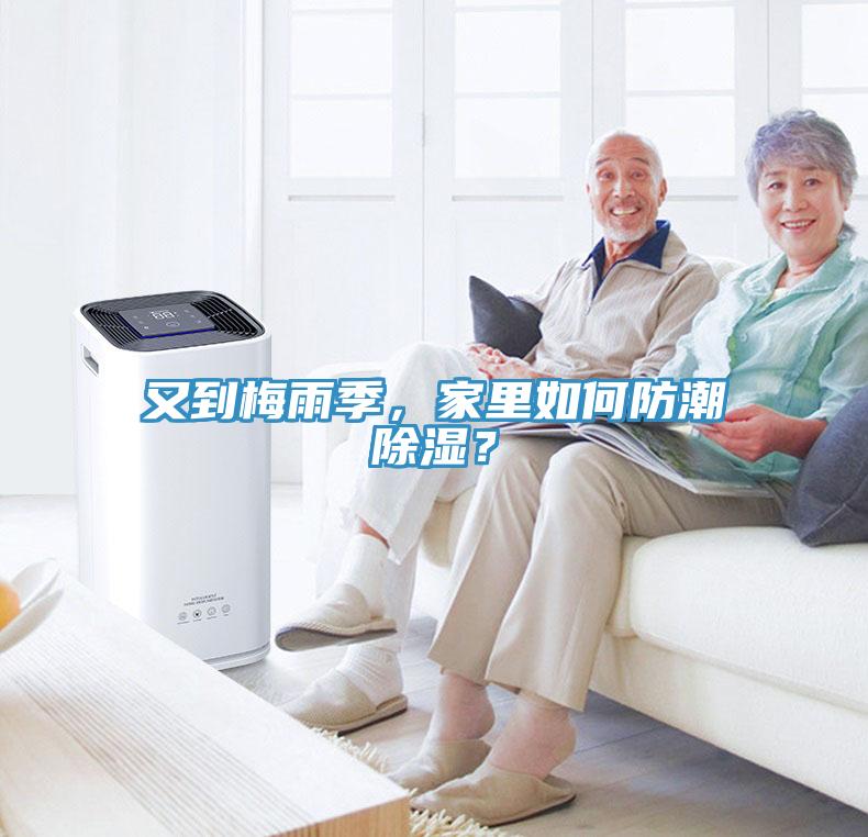 又到梅雨季，家里如何防潮除濕？