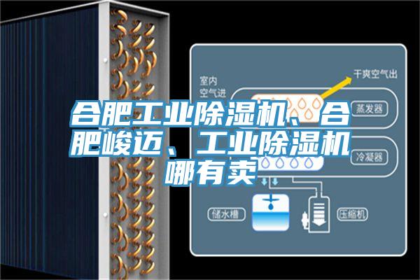 合肥工業(yè)除濕機、合肥峻邁、工業(yè)除濕機哪有賣