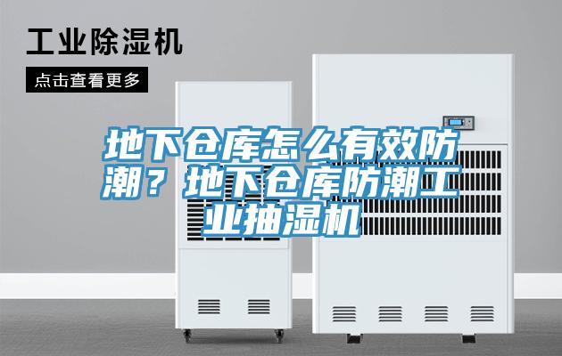 地下倉庫怎么有效防潮？地下倉庫防潮工業(yè)抽濕機(jī)