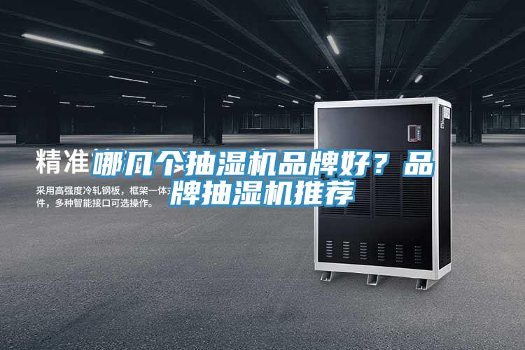 哪幾個(gè)抽濕機(jī)品牌好？品牌抽濕機(jī)推薦