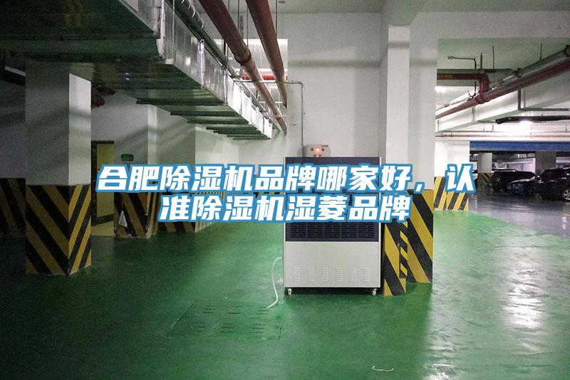 合肥除濕機(jī)品牌哪家好，認(rèn)準(zhǔn)除濕機(jī)濕菱品牌