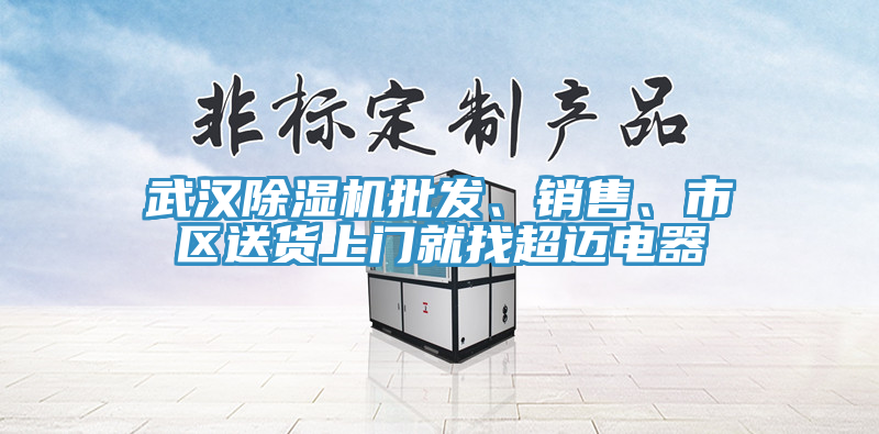武漢除濕機(jī)批發(fā)、銷售、市區(qū)送貨上門就找超邁電器