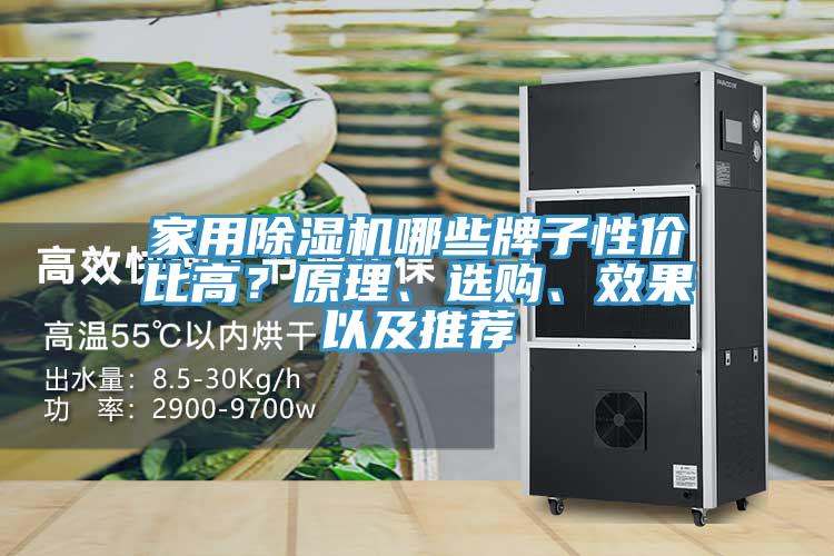 家用除濕機(jī)哪些牌子性價(jià)比高？原理、選購(gòu)、效果以及推薦