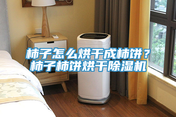 柿子怎么烘干成柿餅？柿子柿餅烘干除濕機(jī)
