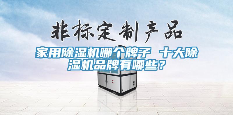 家用除濕機(jī)哪個(gè)牌子 十大除濕機(jī)品牌有哪些？