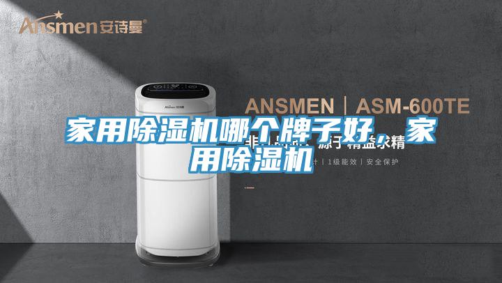 家用除濕機哪個牌子好，家用除濕機