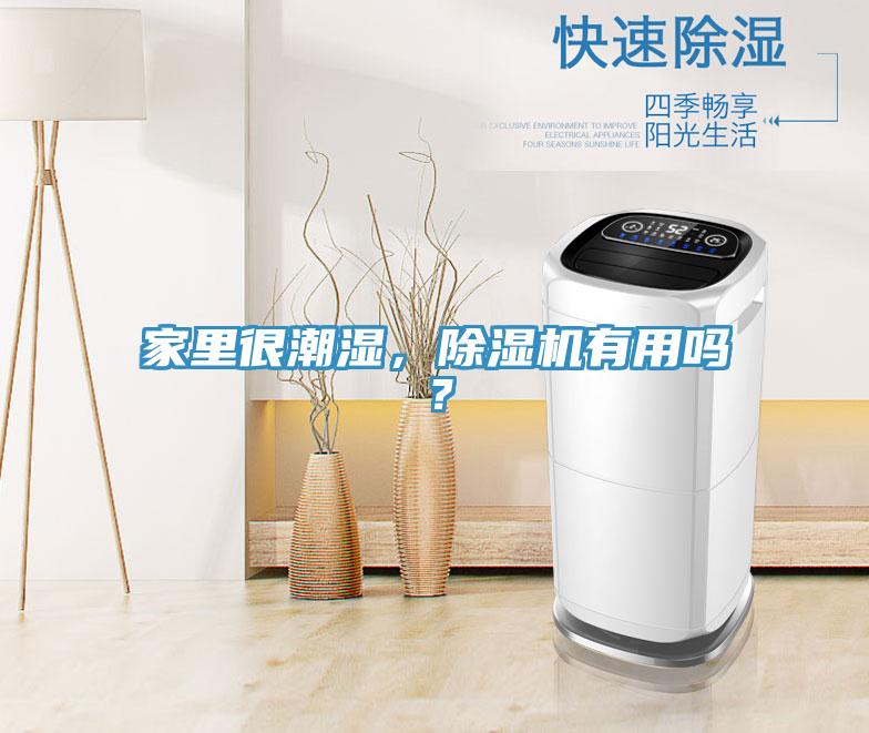 家里很潮濕，除濕機(jī)有用嗎？