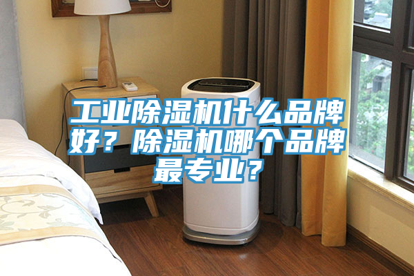 工業(yè)除濕機什么品牌好？除濕機哪個品牌最專業(yè)？
