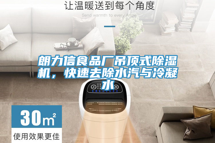 朗力信食品廠吊頂式除濕機(jī)，快速去除水汽與冷凝水
