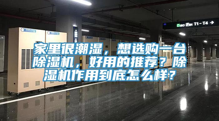 家里很潮濕，想選購一臺除濕機(jī)，好用的推薦？除濕機(jī)作用到底怎么樣？