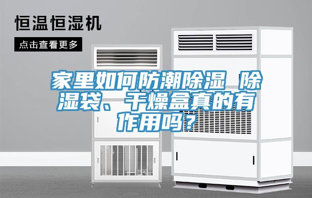 家里如何防潮除濕 除濕袋、干燥盒真的有作用嗎？