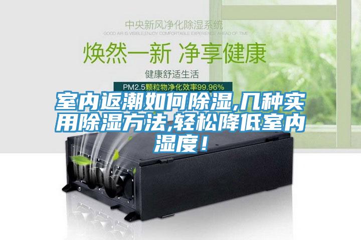 室內(nèi)返潮如何除濕,幾種實用除濕方法,輕松降低室內(nèi)濕度！