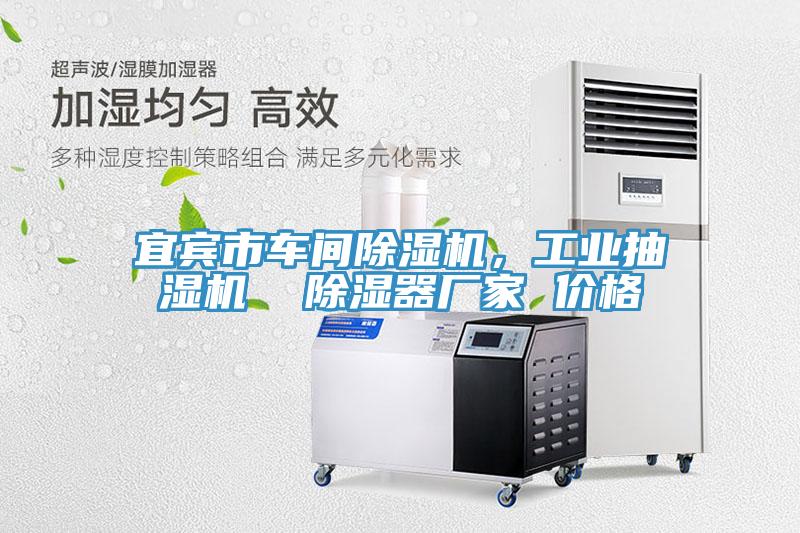 宜賓市車間除濕機(jī)，工業(yè)抽濕機(jī)  除濕器廠家 價格