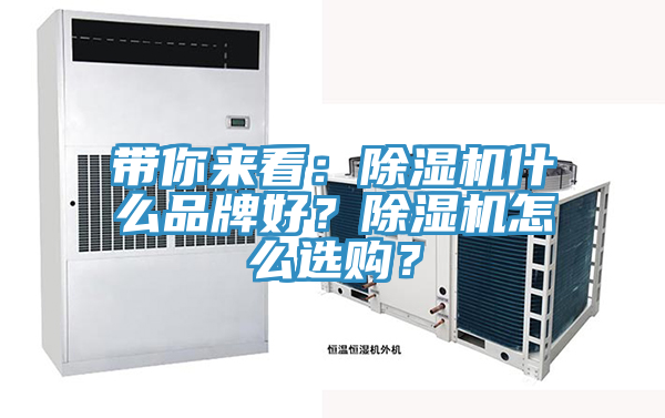 帶你來看：除濕機什么品牌好？除濕機怎么選購？