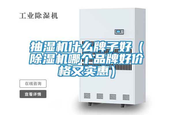 抽濕機(jī)什么牌子好（除濕機(jī)哪個品牌好價格又實惠）