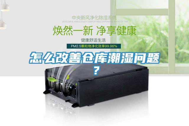 怎么改善倉庫潮濕問題？