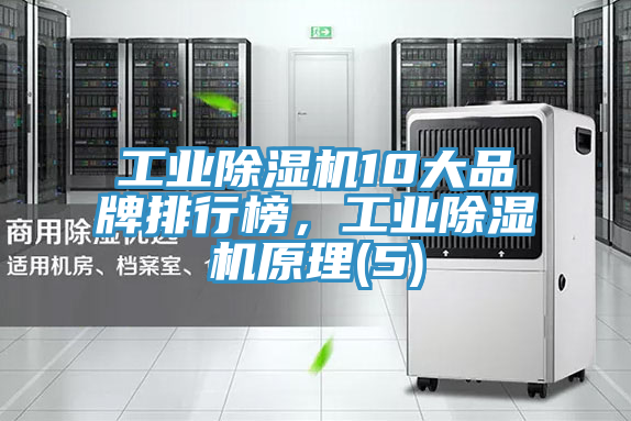 工業(yè)除濕機(jī)10大品牌排行榜，工業(yè)除濕機(jī)原理(5)