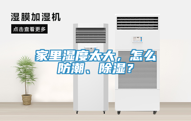 家里濕度太大，怎么防潮、除濕？