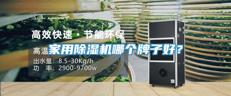 家用除濕機哪個牌子好？