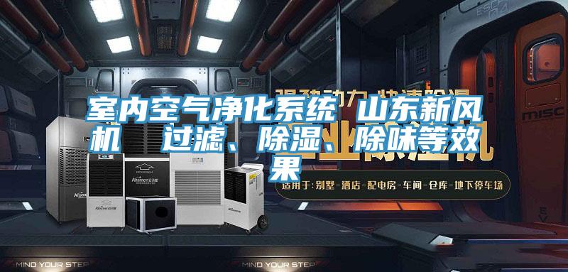 室內(nèi)空氣凈化系統(tǒng) 山東新風機  過濾、除濕、除味等效果