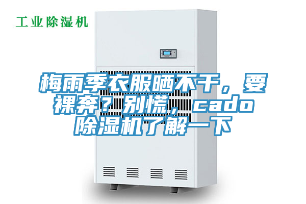 梅雨季衣服曬不干，要裸奔？別慌，cado除濕機(jī)了解一下