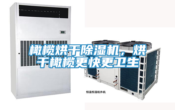 橄欖烘干除濕機，烘干橄欖更快更衛(wèi)生