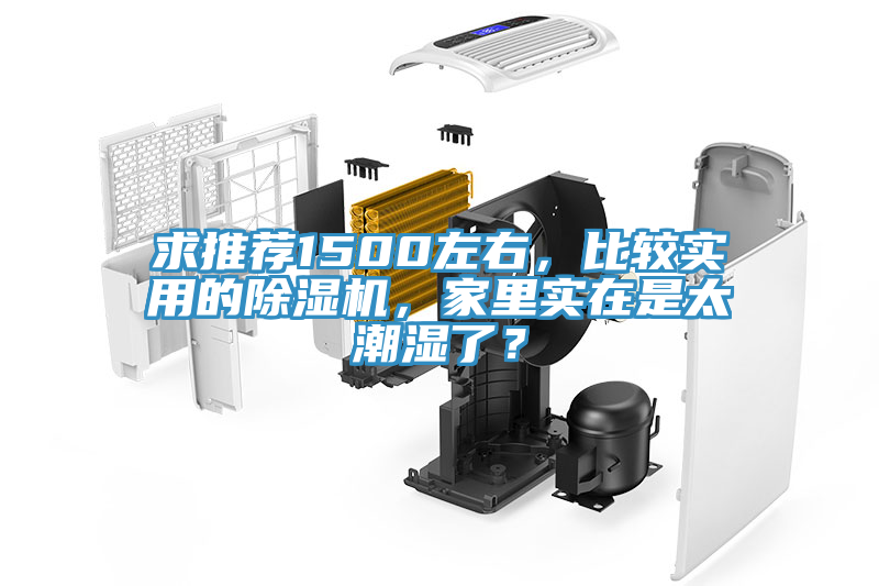 求推薦1500左右，比較實用的除濕機，家里實在是太潮濕了？