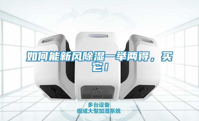 如何能新風除濕一舉兩得，買它！