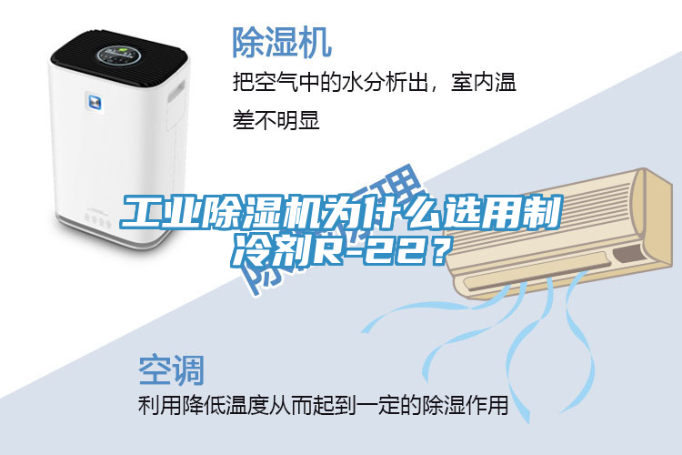 工業(yè)除濕機為什么選用制冷劑R-22？