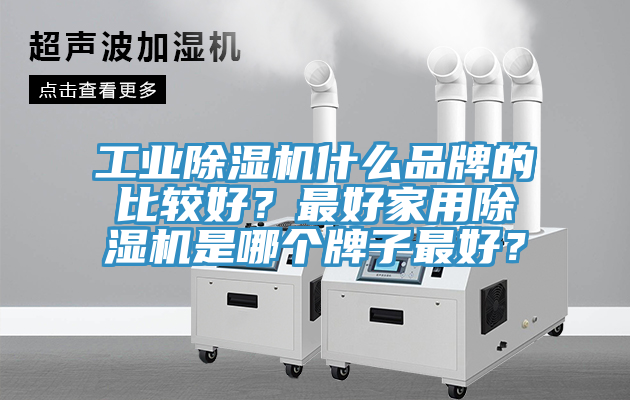 工業(yè)除濕機什么品牌的比較好？最好家用除濕機是哪個牌子最好？