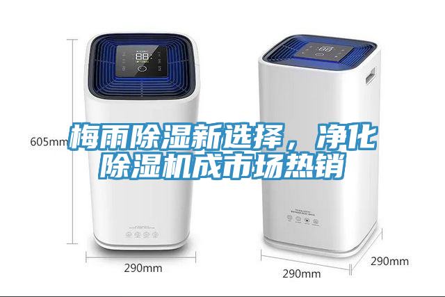梅雨除濕新選擇，凈化除濕機(jī)成市場(chǎng)熱銷(xiāo)