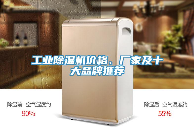 工業(yè)除濕機價格、廠家及十大品牌推薦