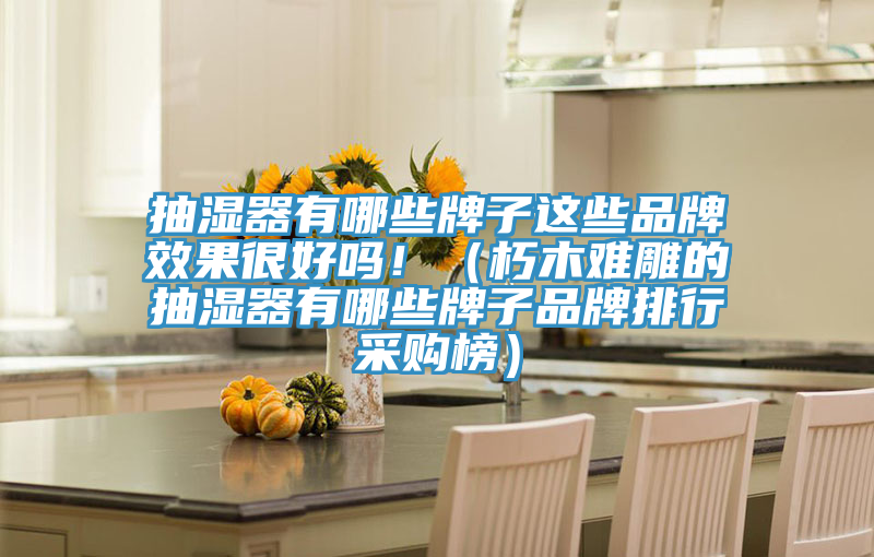 抽濕器有哪些牌子這些品牌效果很好嗎?。ㄐ嗄倦y雕的抽濕器有哪些牌子品牌排行采購榜）