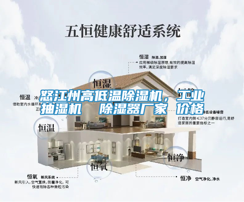 怒江州高低溫除濕機，工業(yè)抽濕機  除濕器廠家 價格