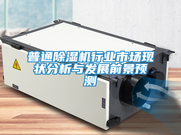 普通除濕機行業(yè)市場現(xiàn)狀分析與發(fā)展前景預(yù)測
