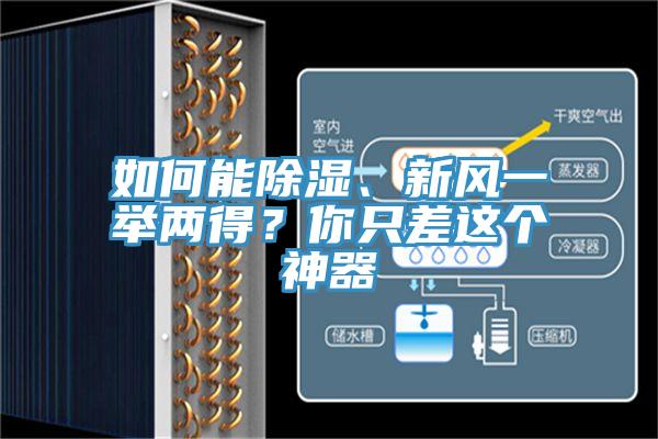 如何能除濕、新風一舉兩得？你只差這個神器