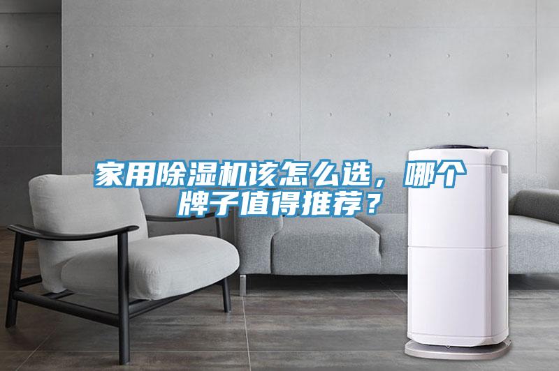 家用除濕機該怎么選，哪個牌子值得推薦？