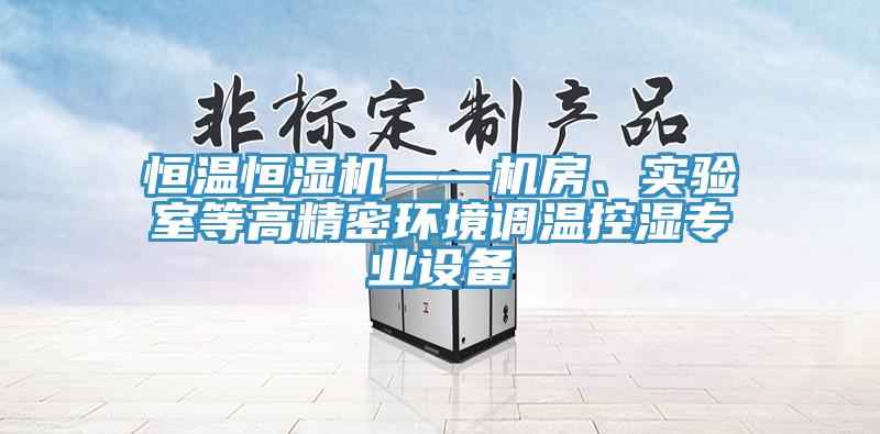 恒溫恒濕機(jī)——機(jī)房、實(shí)驗(yàn)室等高精密環(huán)境調(diào)溫控濕專(zhuān)業(yè)設(shè)備
