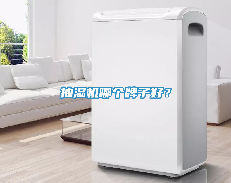 抽濕機哪個牌子好？