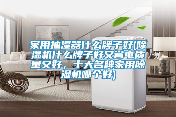 家用抽濕器什么牌子好(除濕機(jī)什么牌子好又省電質(zhì)量又好，十大名牌家用除濕機(jī)哪個(gè)好)