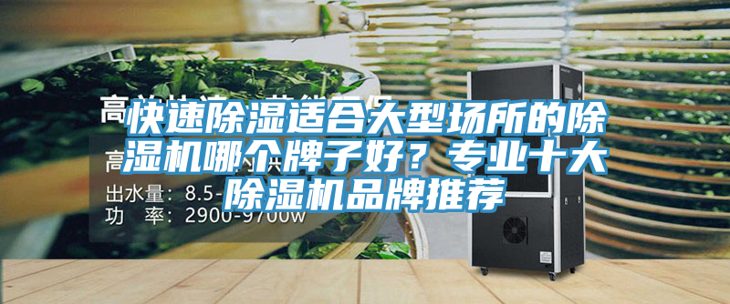 快速除濕適合大型場所的除濕機(jī)哪個(gè)牌子好？專業(yè)十大除濕機(jī)品牌推薦