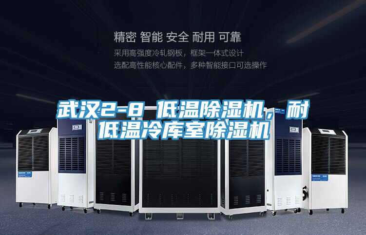 武漢2-8℃低溫除濕機(jī)，耐低溫冷庫室除濕機(jī)