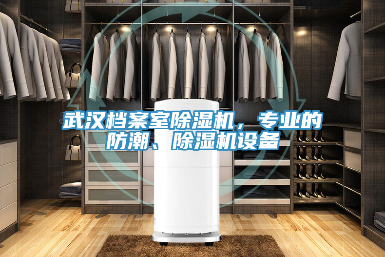 武漢檔案室除濕機(jī)，專業(yè)的防潮、除濕機(jī)設(shè)備