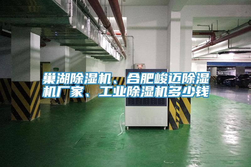巢湖除濕機(jī)、合肥峻邁除濕機(jī)廠(chǎng)家、工業(yè)除濕機(jī)多少錢(qián)