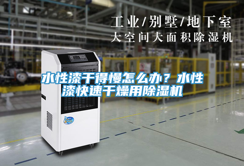 水性漆干得慢怎么辦？水性漆快速干燥用除濕機
